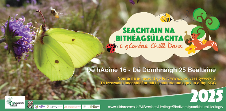 Biodiversity Gaeilge